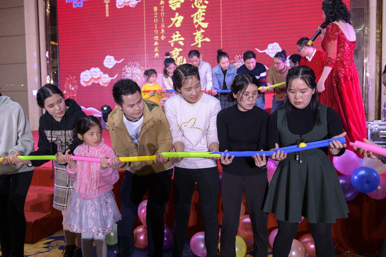 銳意變革，合力共贏&mdash;&mdash;博新2018年會暨2019迎新盛典圓滿落幕